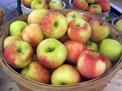 Apples at Montgomery Place Orchards - Annandale-on-Hudson, NY - Sep 22, 2011 (credit: Deborah Rodriguez / WCBS 880)