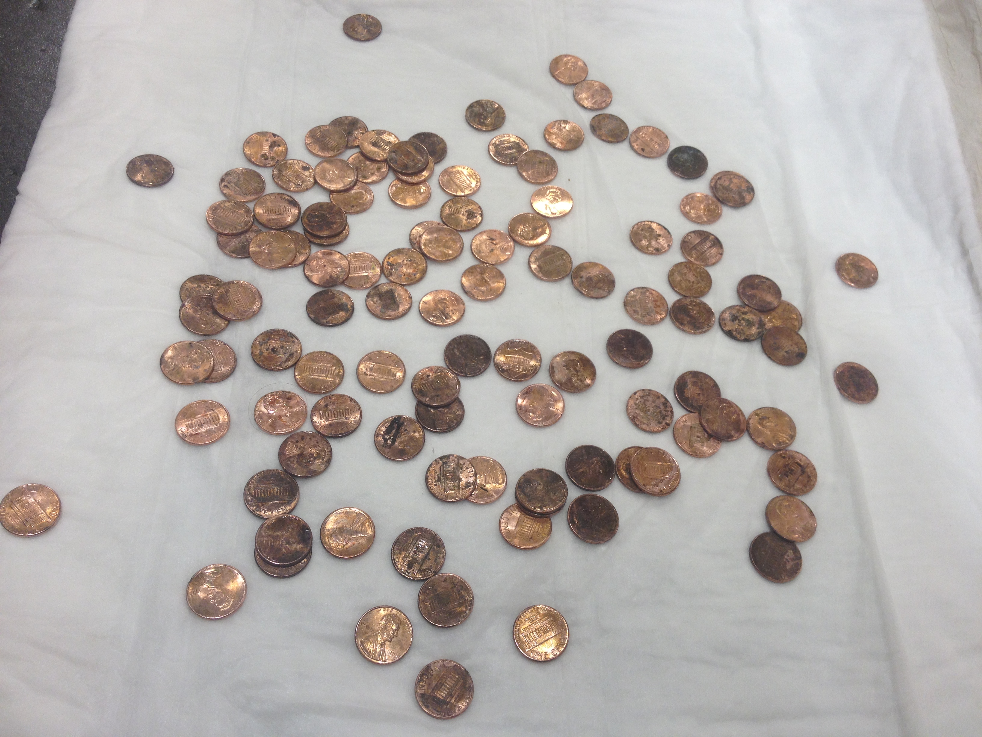 111 pennies removed from Jack's stomach. (BluePearl)