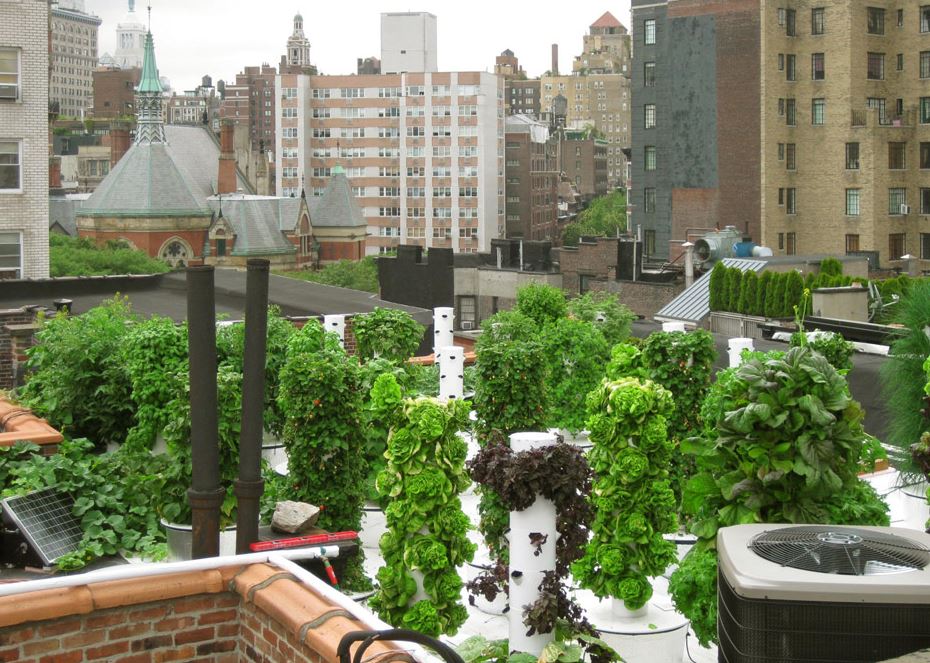 6 Great Nyc Restaurants With Rooftop Gardens Cbs New York
