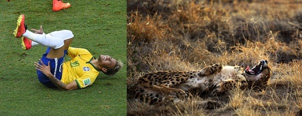 Left (Credit:Fabrice Coffrini/Getty Images) Right:(Credit:AFP/Getty Images)