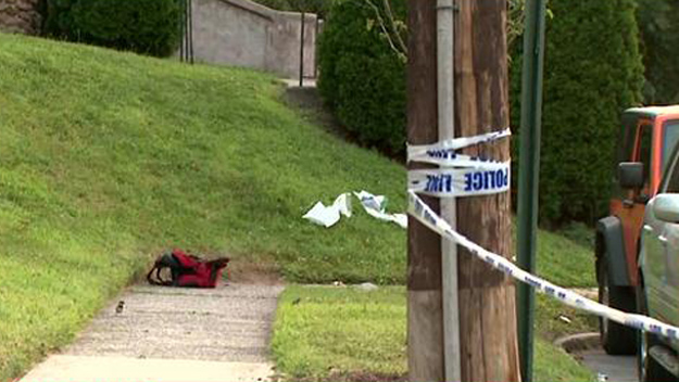 Scene of shooting in New Dorp section of Staten Island on June 29, 2014 (Credit: CBS 2)