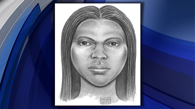 Police sketch of one of five wanted in connection with Central Park attack on Aug. 23, 2014 (Credit: NYPD)