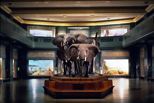 American Museum of Natural History of New York