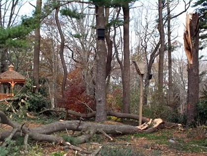 Long Island Botanic Garden Reopens Following Devastation From