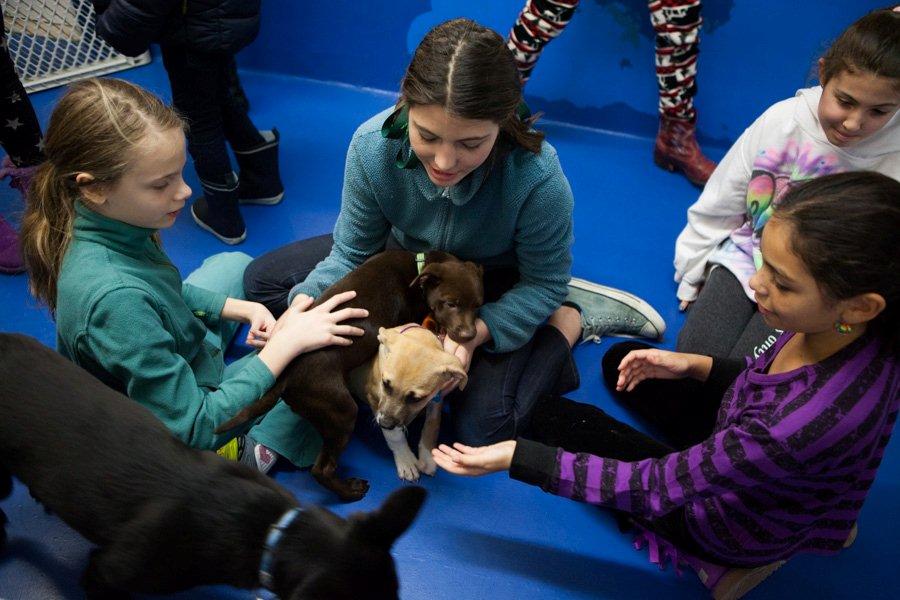 Aspca Helps Group Unleashed Empower Nyc Girls Through Animal Advocacy Cbs New York