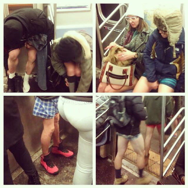 No Pants Subway Ride 2015  (Credit: kerrisohn)