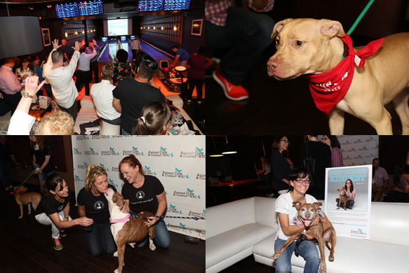 Photos from AC&C's Pit Bowl 2014 at Lucky Strike Lanes. (Photo Credit: Jason Howard/Jamie McCarthy)