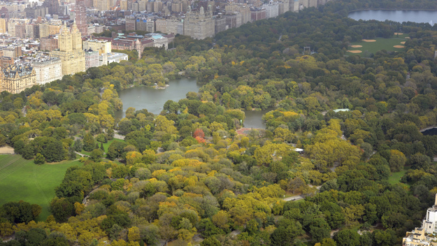A view of Central Park from the 75th floor of 432 Park Avenue on Oct. 15, 2104. (credit: Timothy A. Clary/Getty Images)