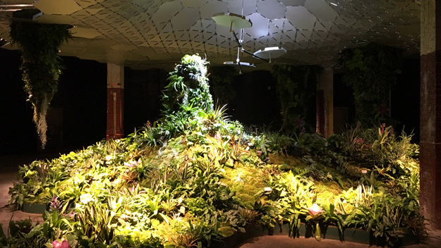 The Lowline Lab shows plans for the city's first underground park. (Credit: Sonia Rincon/CBS2)