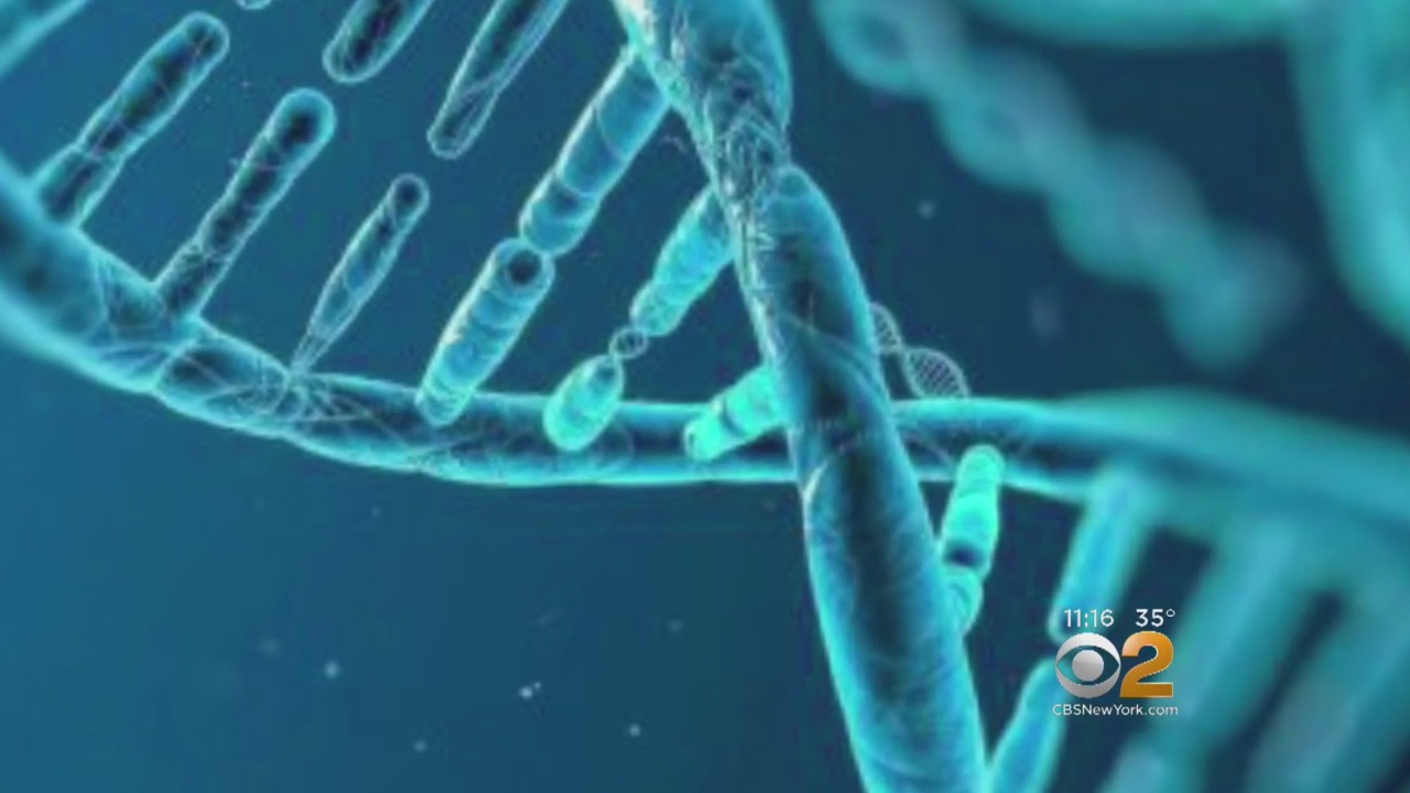 12 játékos felfüggesztett biogenezis anti aging