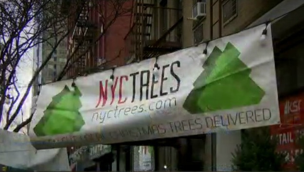 ‘They Are The Heroes Of New York’: Christmas Tree Home Delivery Company Giving Back To FDNY ...