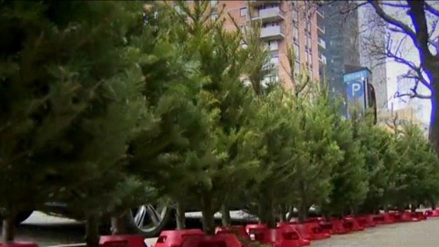 ‘They Are The Heroes Of New York’: Christmas Tree Home Delivery Company Giving Back To FDNY ...
