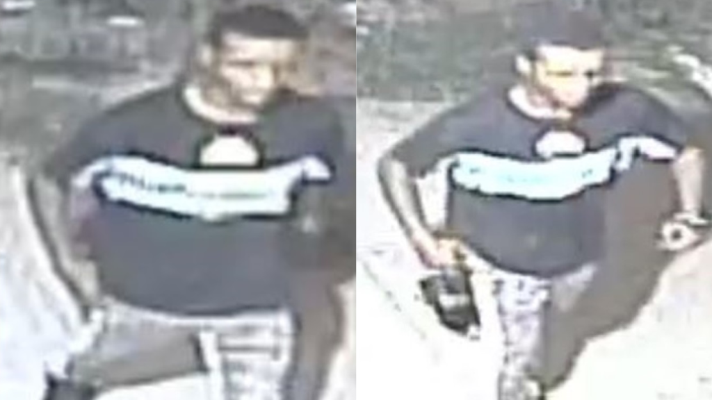 Police: Man Grabs Woman By Hair, Punches And Sexually Assaults Her At Bronx Playground