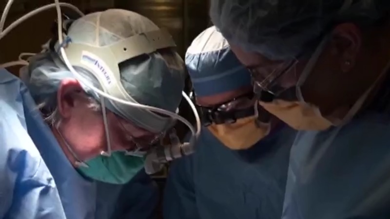 Medical Breakthrough: Doctors Successfully Transplant Pig Kidney To Human Recipient